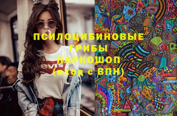 мдпв Аркадак