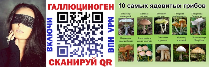 наркошоп  Салехард  Псилоцибиновые грибы мицелий 